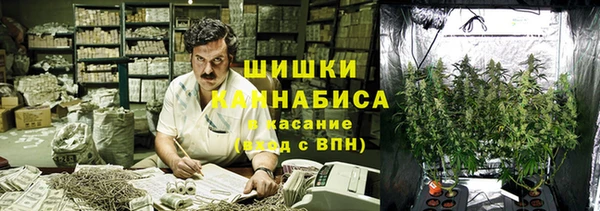 бошки Аркадак